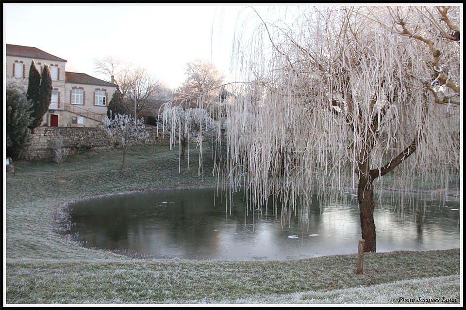Marché gourmand à Esclauzels